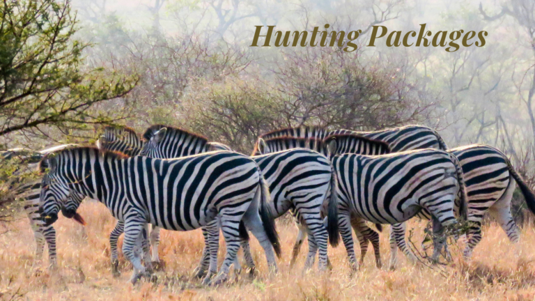 Hunting Packages